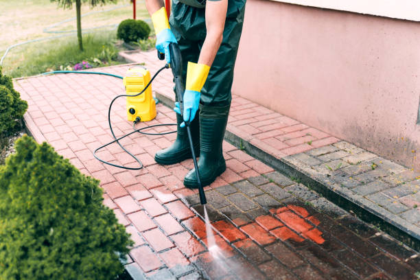 Best Fence Cleaning  in Metamora, IL