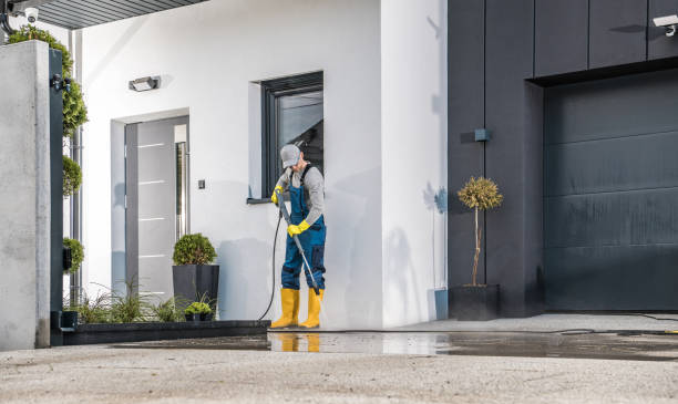 Best Soft Washing  in Metamora, IL